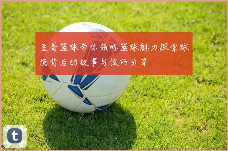 豆哥篮球带你领略篮球魅力探索球场背后的故事与技巧分享